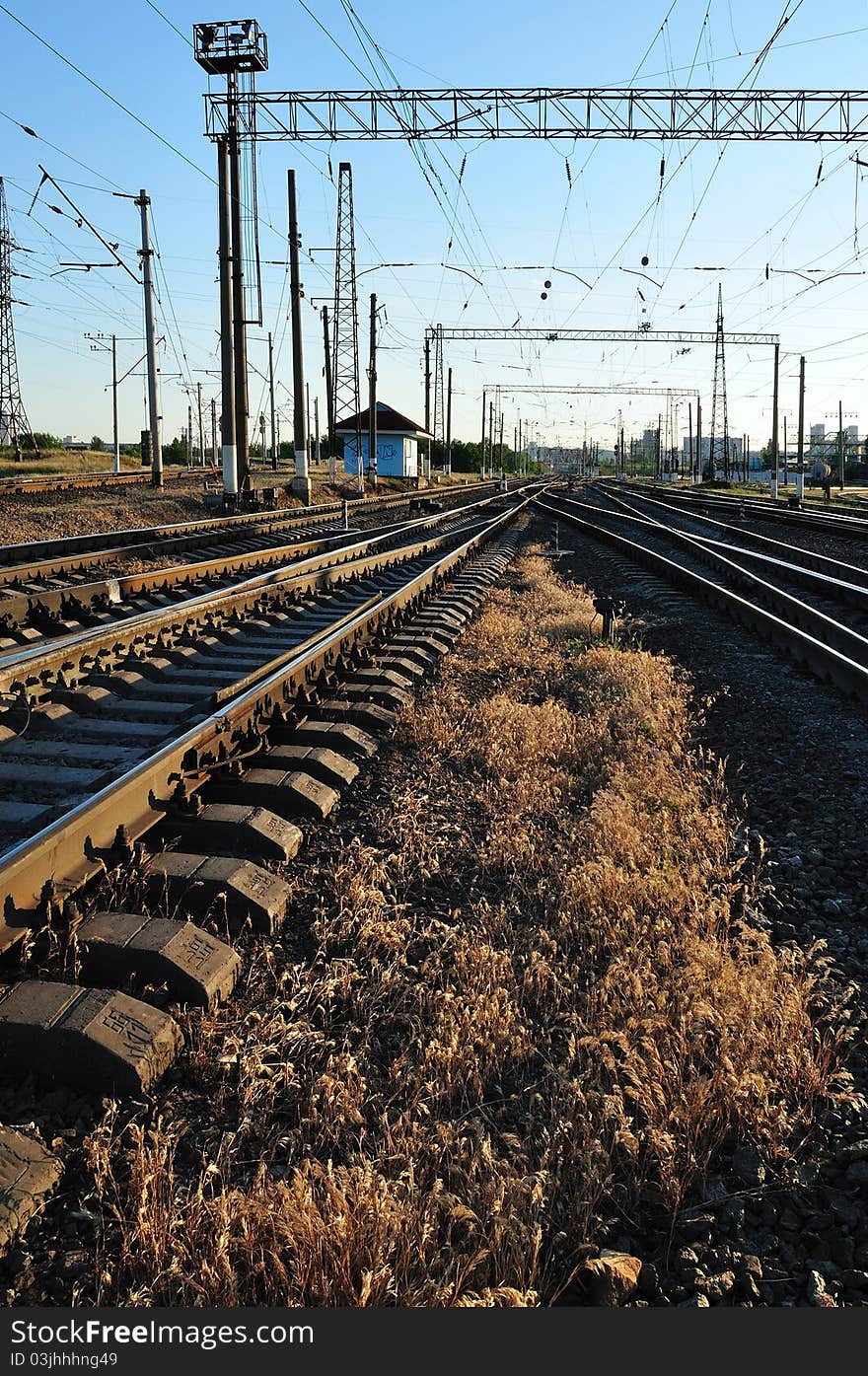 A lot railroads on landscape. Nature, grass. A lot railroads on landscape. Nature, grass.