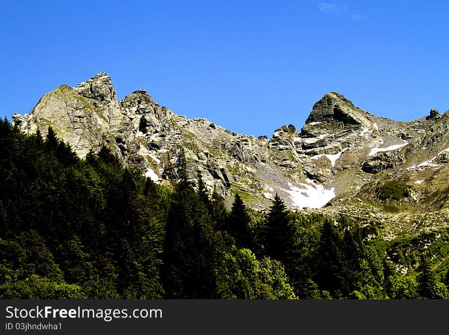 Mountains with thick pine forest