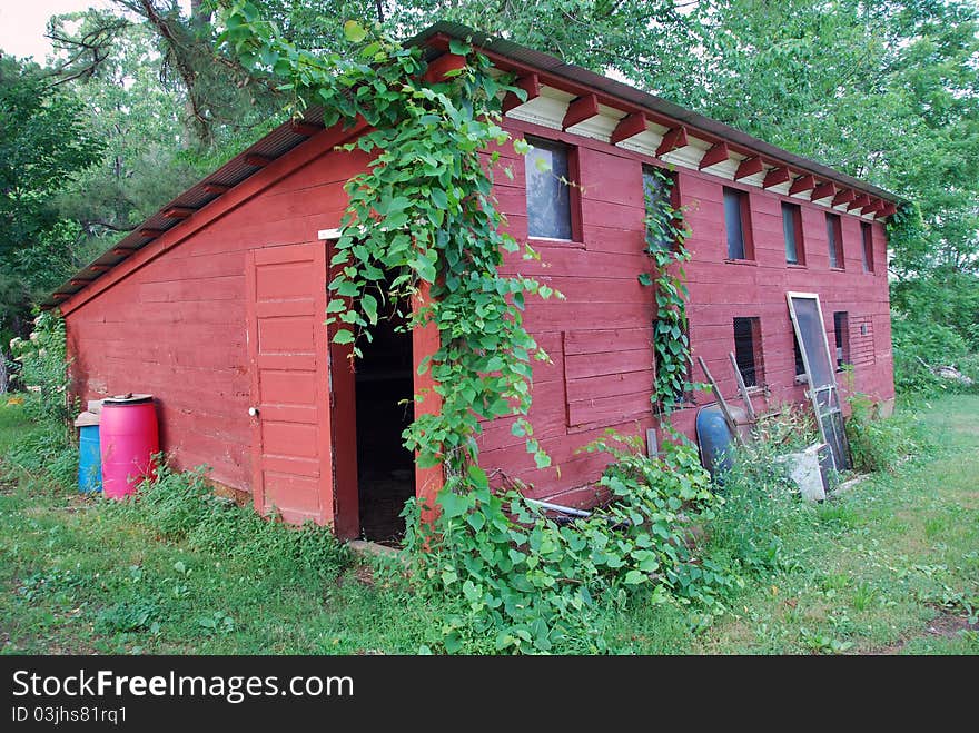 This old tin roof chicken house is still standing. This old tin roof chicken house is still standing