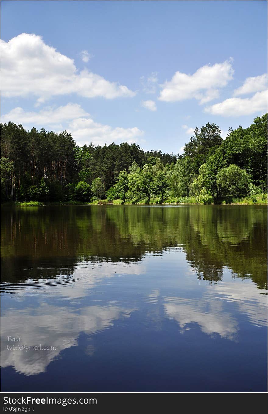 Forest beauty reflection in a small river water. Forest beauty reflection in a small river water.