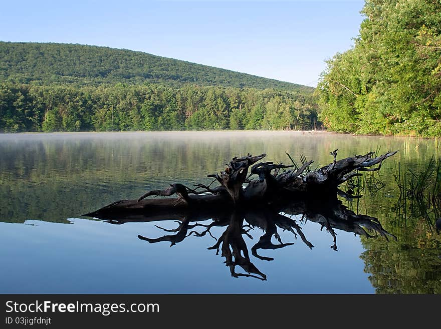 Reflections on the water at Locust Lake State Park,Schuylkill County,Pennsylvania,USA. Reflections on the water at Locust Lake State Park,Schuylkill County,Pennsylvania,USA.