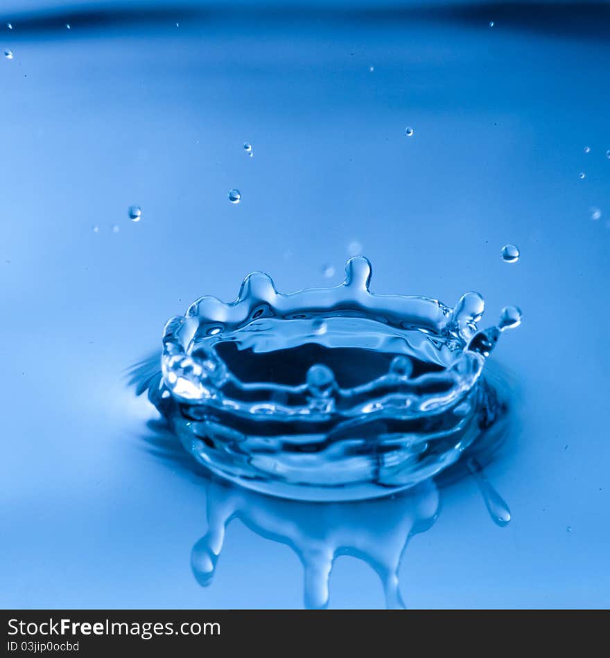 Water drops form water splash on white background