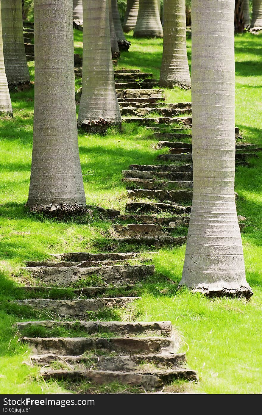 The Winding road in park