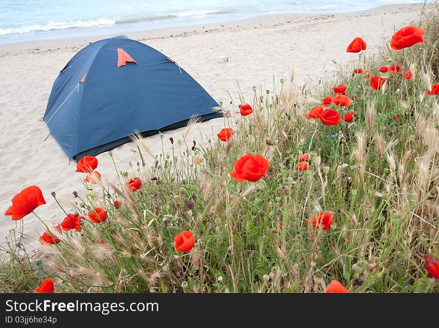 My tent on the beach