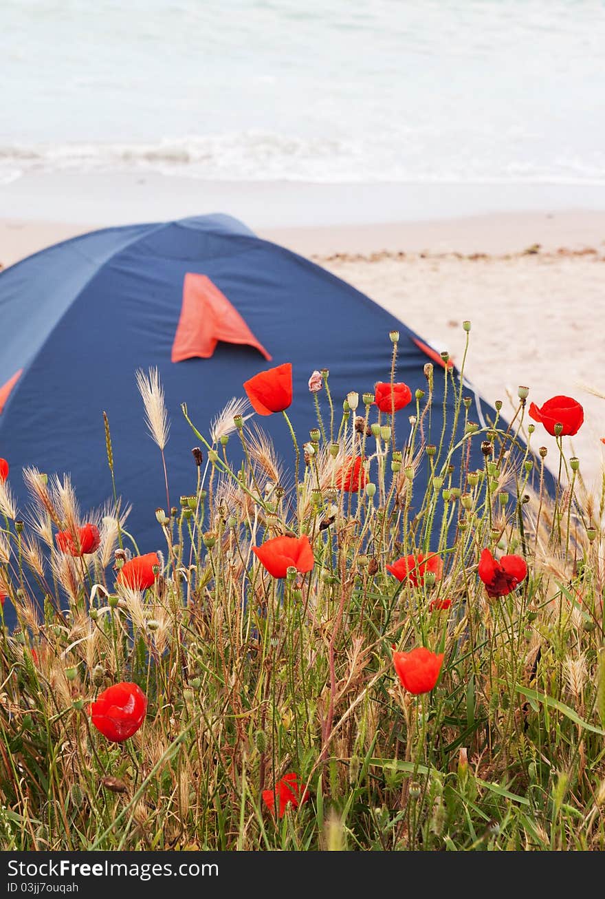 Tent on the beach