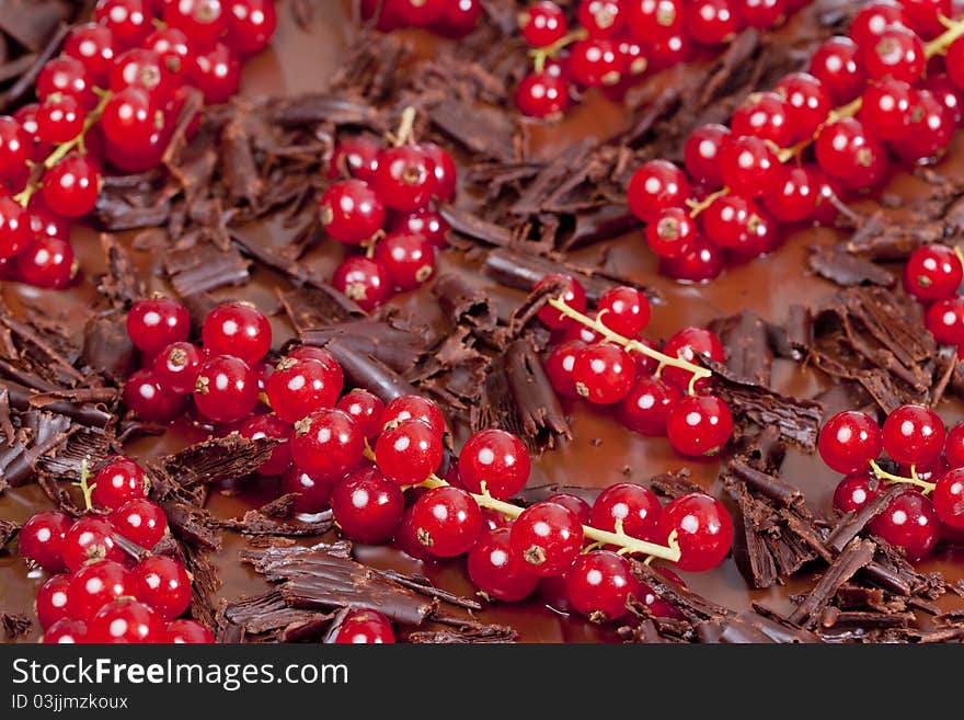 Red currant