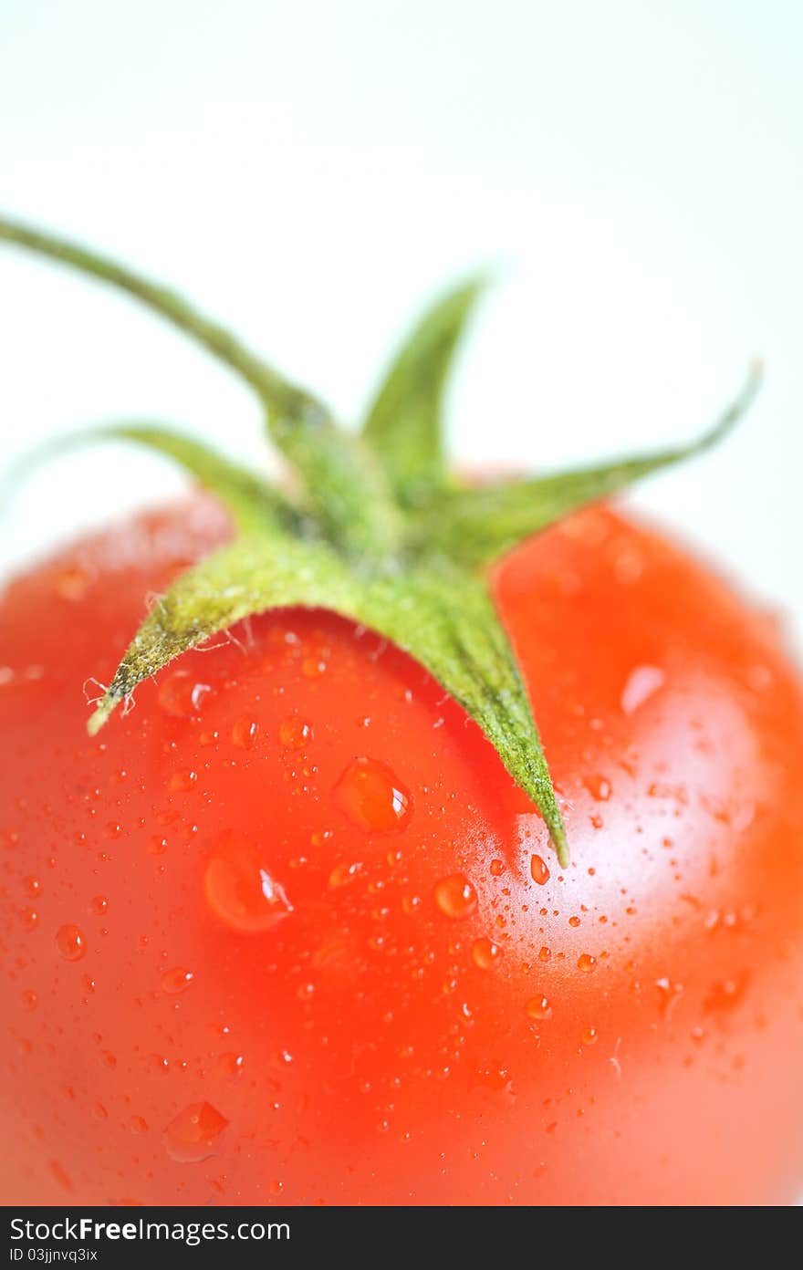 Red tomato with water drops