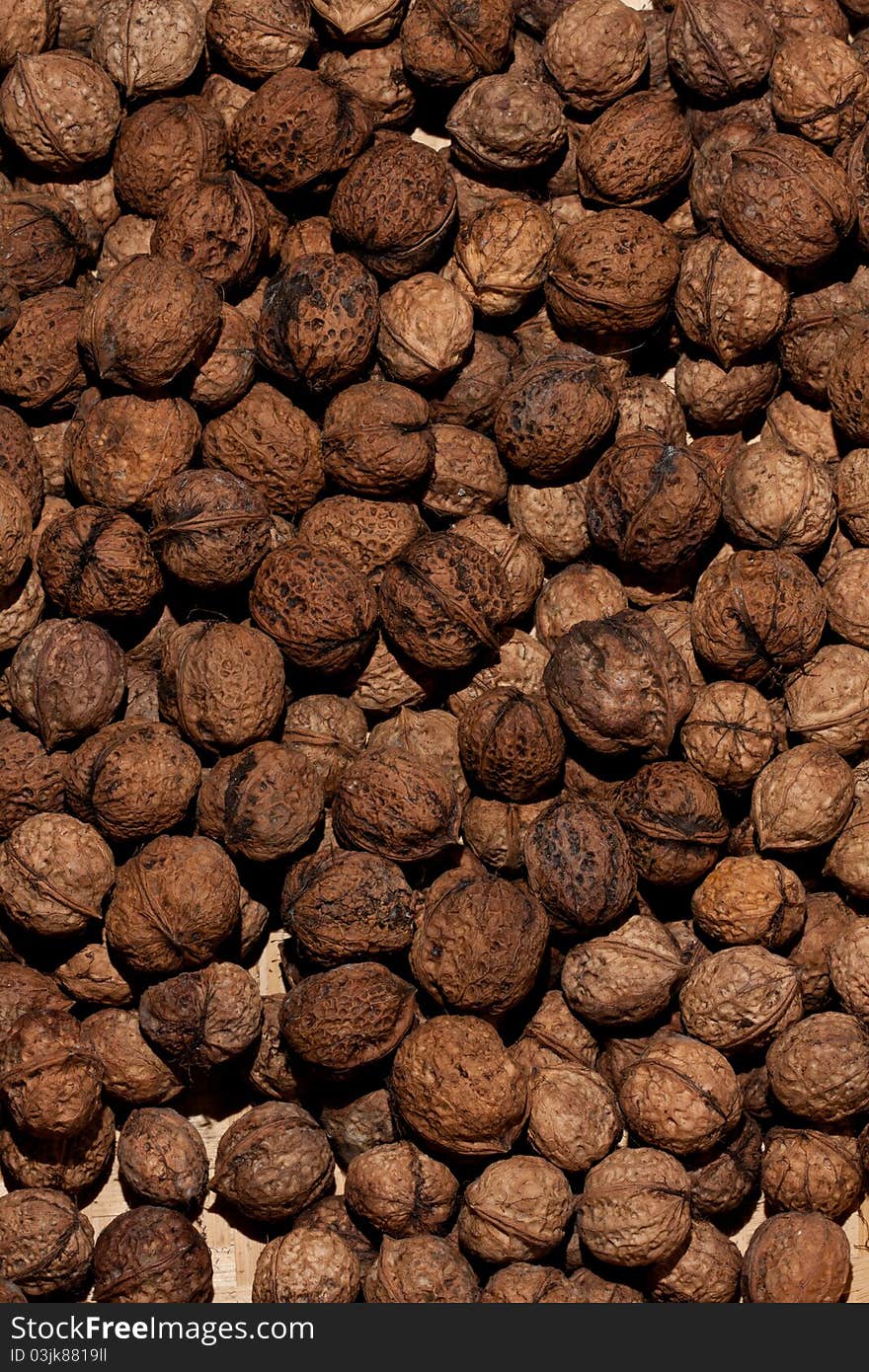 Walnut