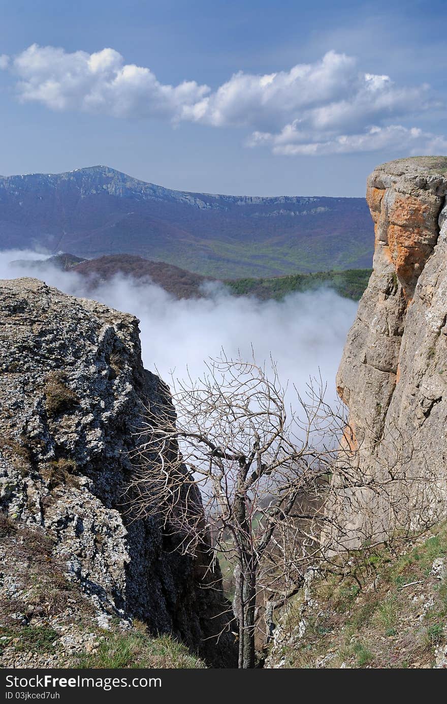 The Crimean Mountains are photographed from peak of Demirji. The solitary bare tree is in the cleft between two sheer cliffs.