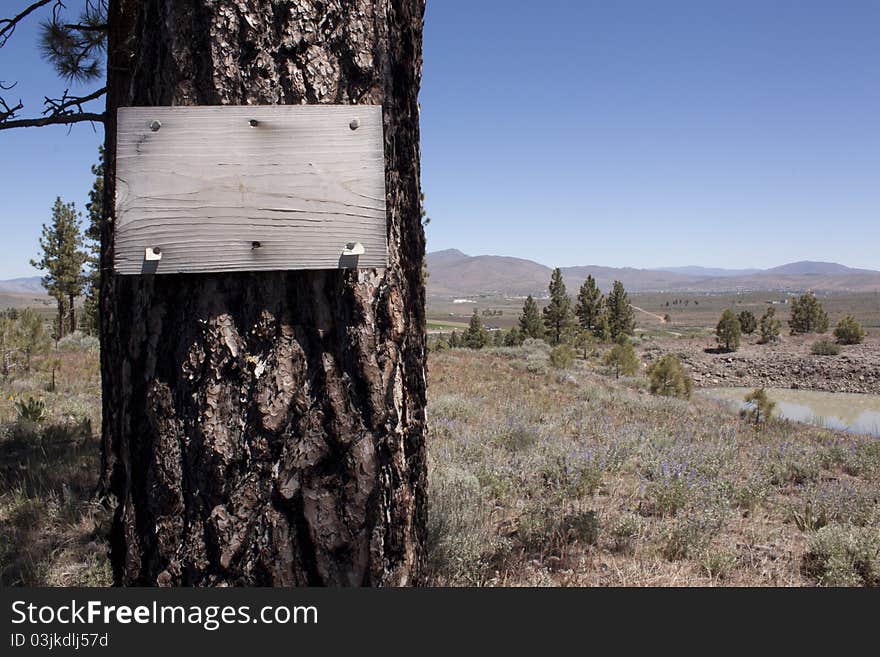 Wood Sign on a tree