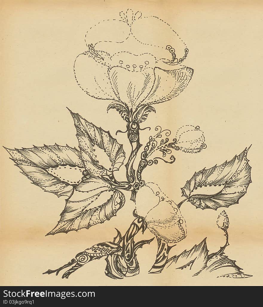 Wild rose flower, the stylized drawing