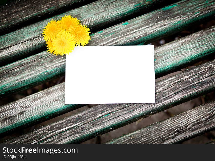 Blank card with dandelion over wood background