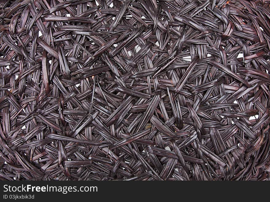 Texture Of Dried Water Hyacinth