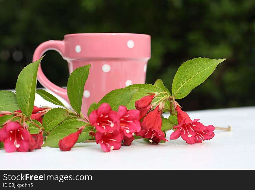 Pink, Spring flowers and a cup on the garden table