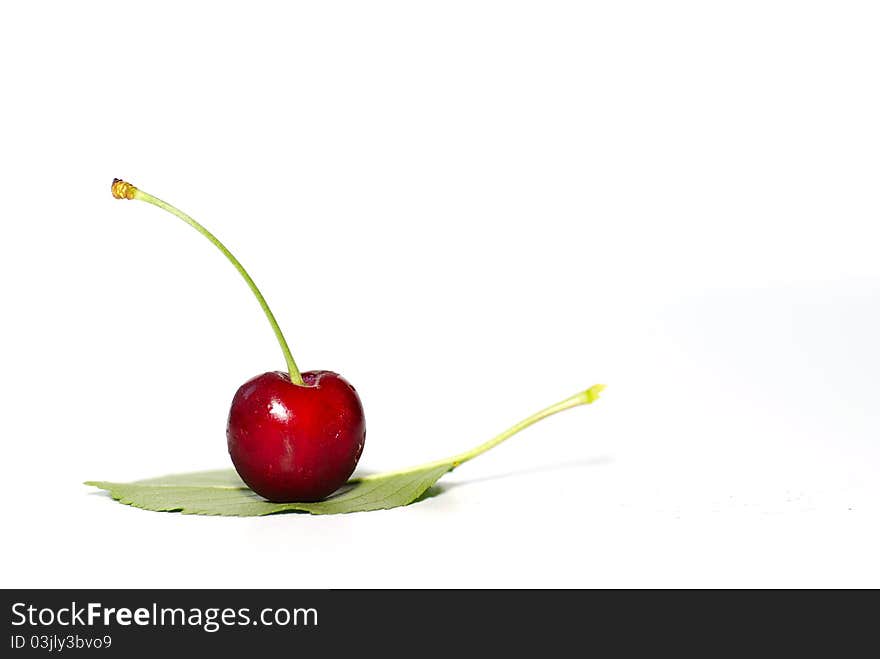 Fresh cherries isolated on white background