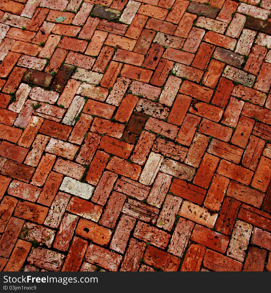 Brick Work Patio