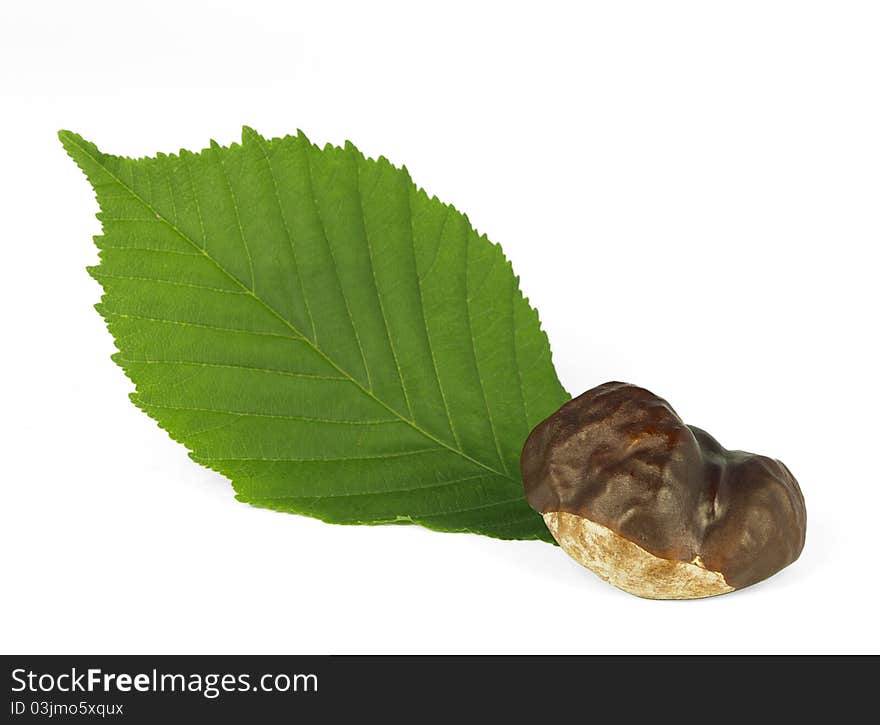 Chestnut with a green leaf on white background.