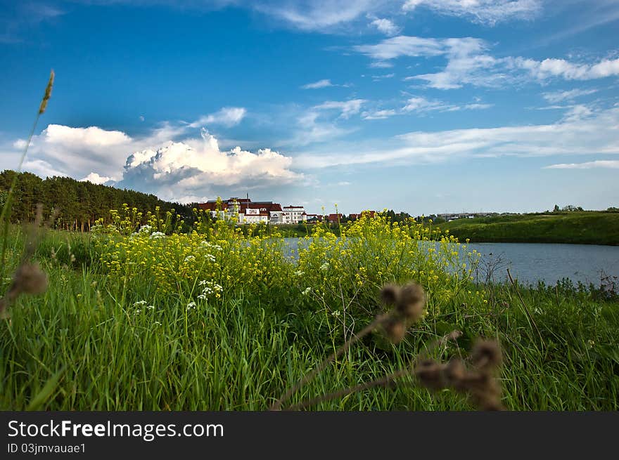 Summer lake and forest view. Nature landscape.