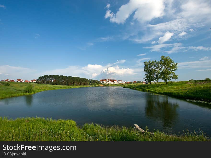 Summer lake and forest view.