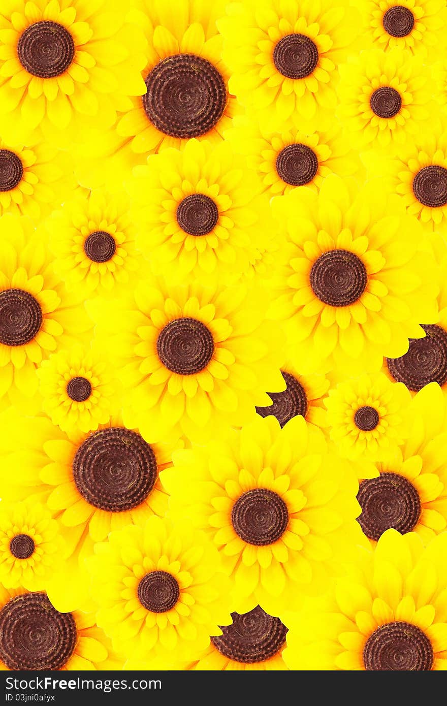 Beautiful yellow sunflower as background