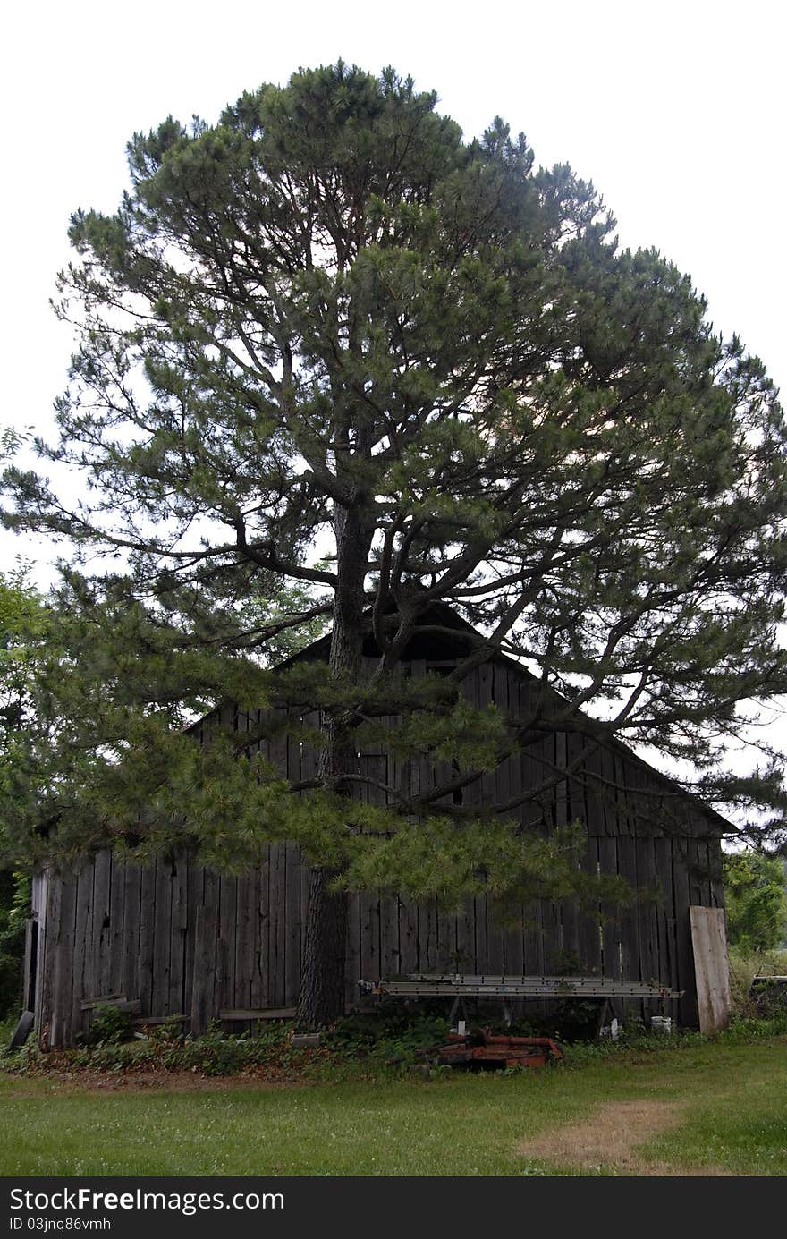 Old barn