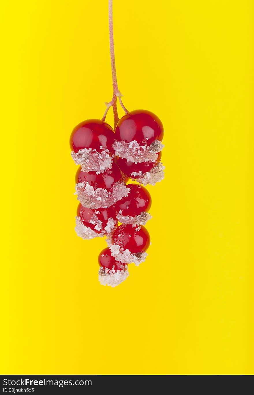 Studio-shot of red currants coated with sugar, on a yellow background. Studio-shot of red currants coated with sugar, on a yellow background