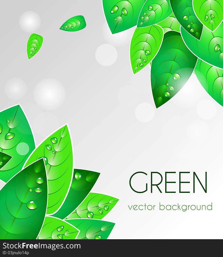 Abstract light background with green leafs. Abstract light background with green leafs