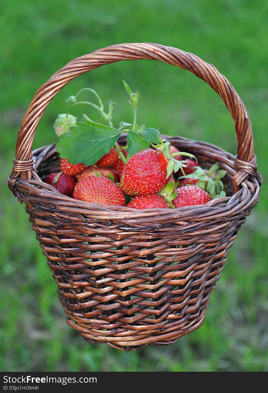 Basket with a strawberry against a grass