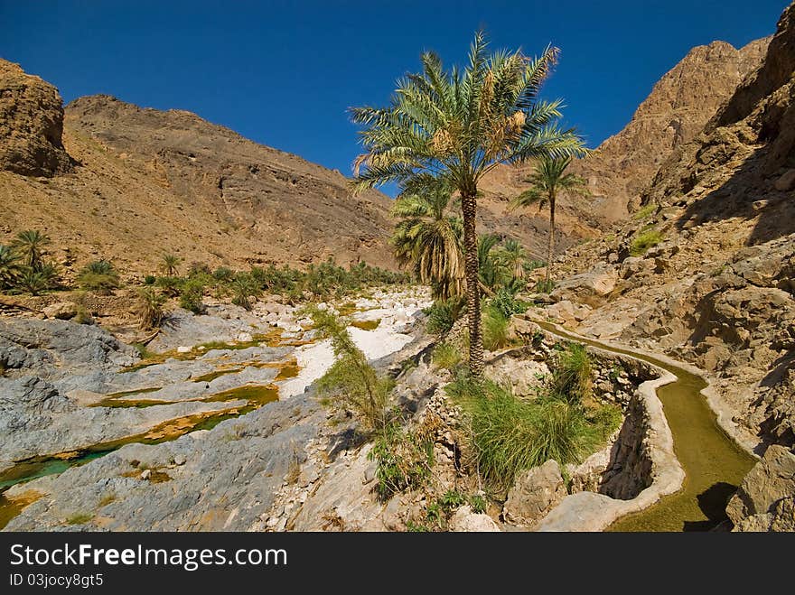 Landscape photo from a valley wadi in Oman