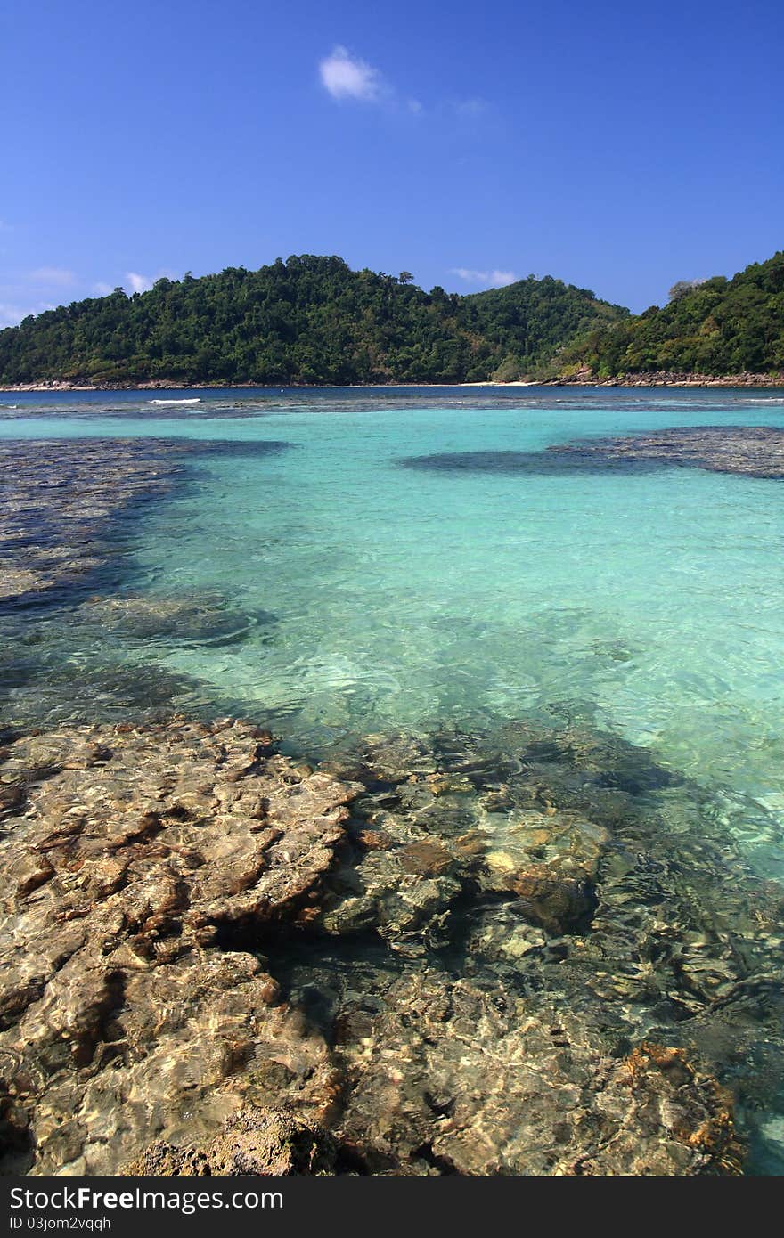 Shallow coral at Moo koh surin nation park in thailand