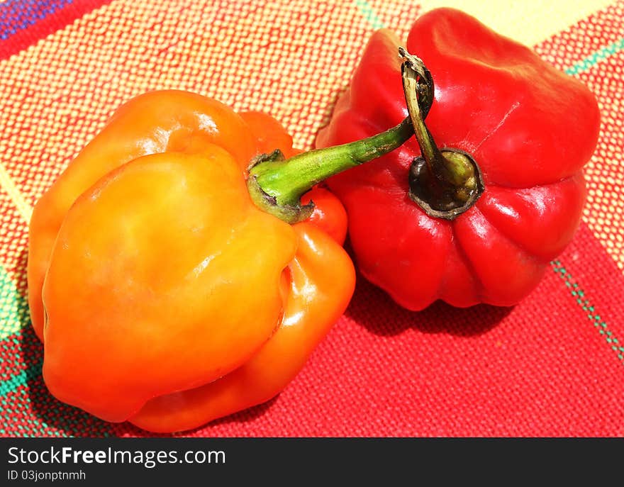 Multicolor hot chili from caribbean island on their typical nap habanero. Multicolor hot chili from caribbean island on their typical nap habanero