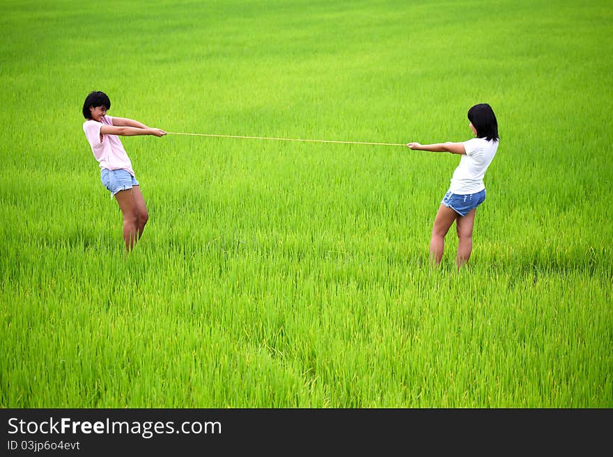 Tug of war between two young girls in paddy field. Tug of war between two young girls in paddy field