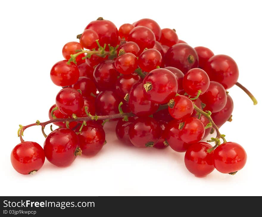 Red Currants