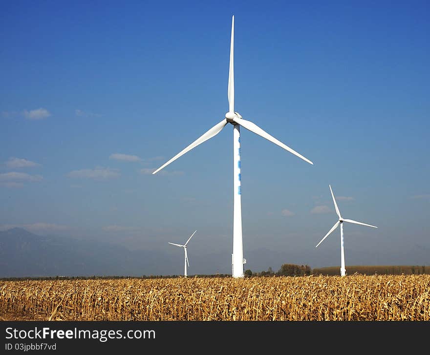 Windmills in autumn