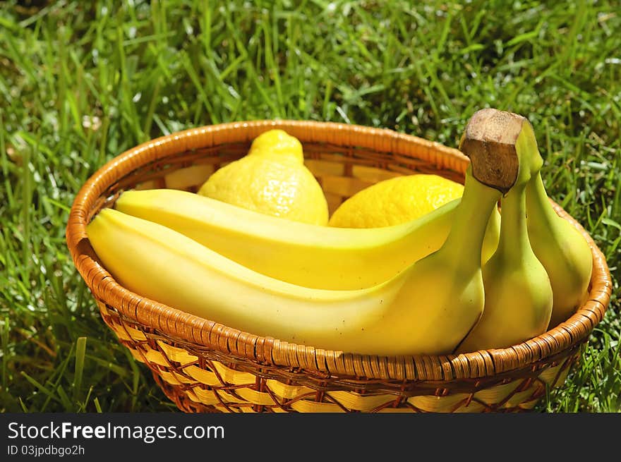 Wicker basket with bananas and lemons on a grass