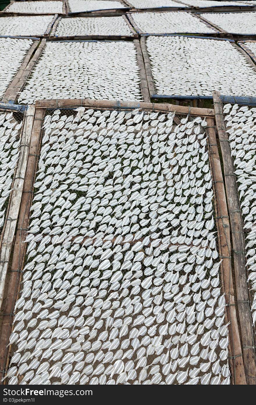 The dried fish in Thailand. The dried fish in Thailand.