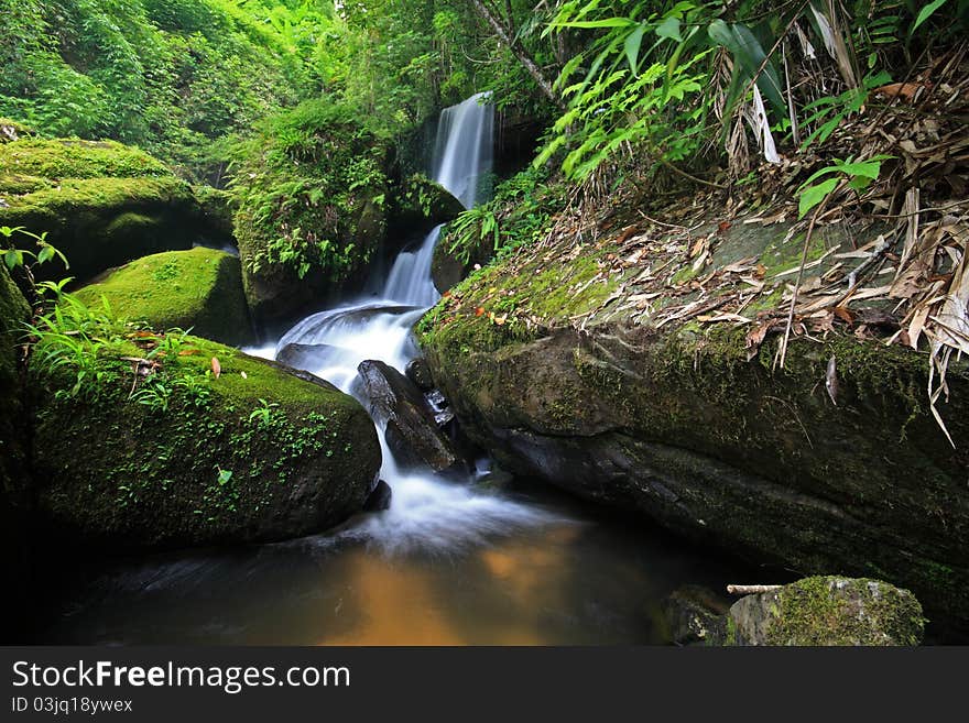 Beautiful rain forest and waterfall in Thailand.