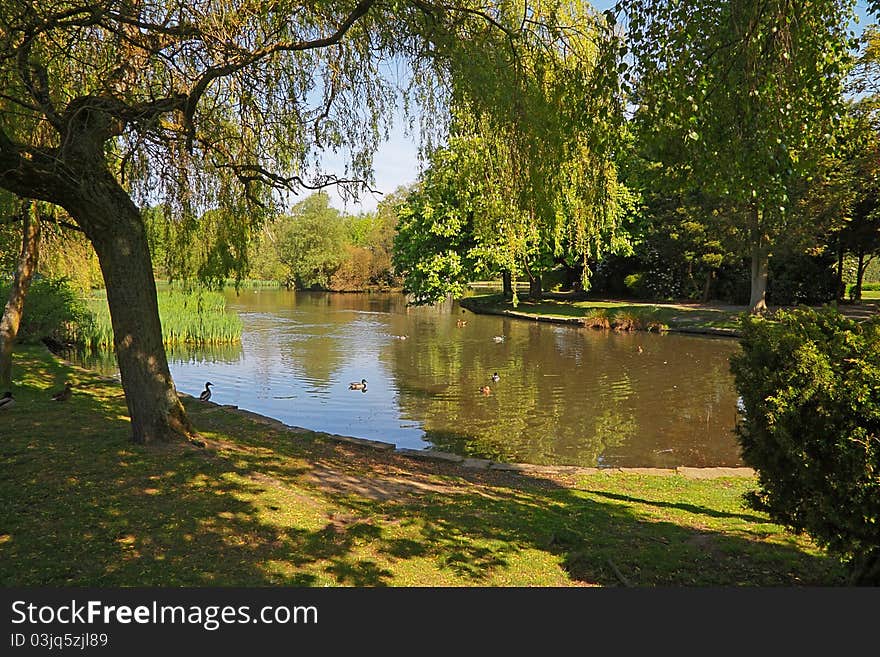 Brough Park