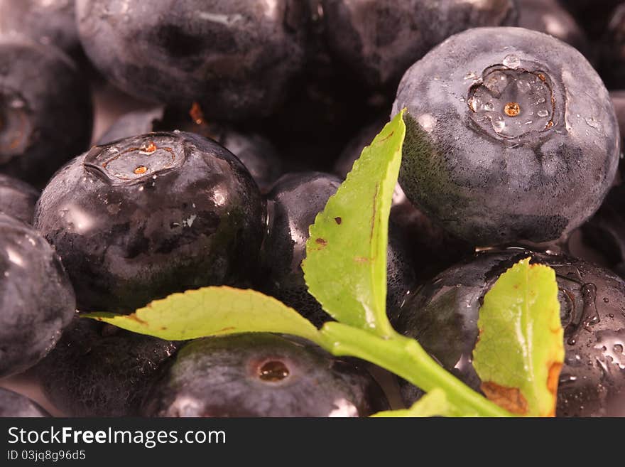 Some fresh blueberries with water drops. Some fresh blueberries with water drops