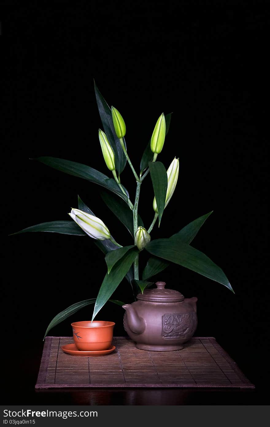 Still-life with lily