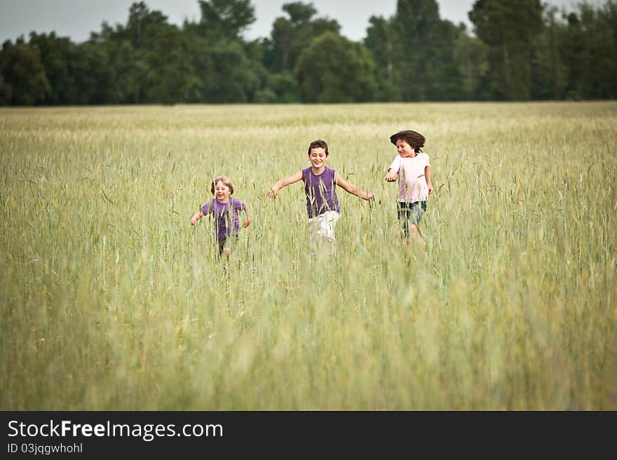 Tree little boy runnig thrue a meadow, field, in summertime. Tree little boy runnig thrue a meadow, field, in summertime.