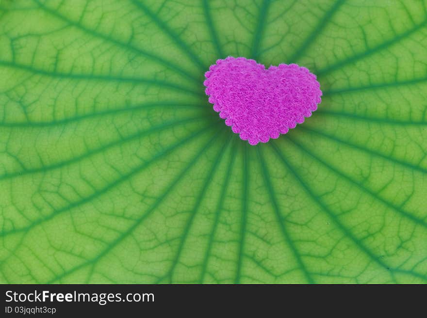 Pink heart on a green leaf