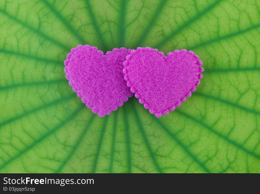 Pink heart on a green leaf