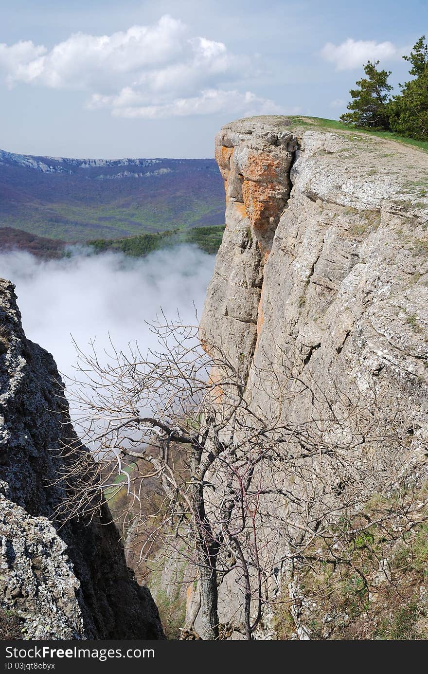 The Crimean Mountains are photographed from peak of Demirji. The solitary bare tree is in the cleft between two sheer cliffs.