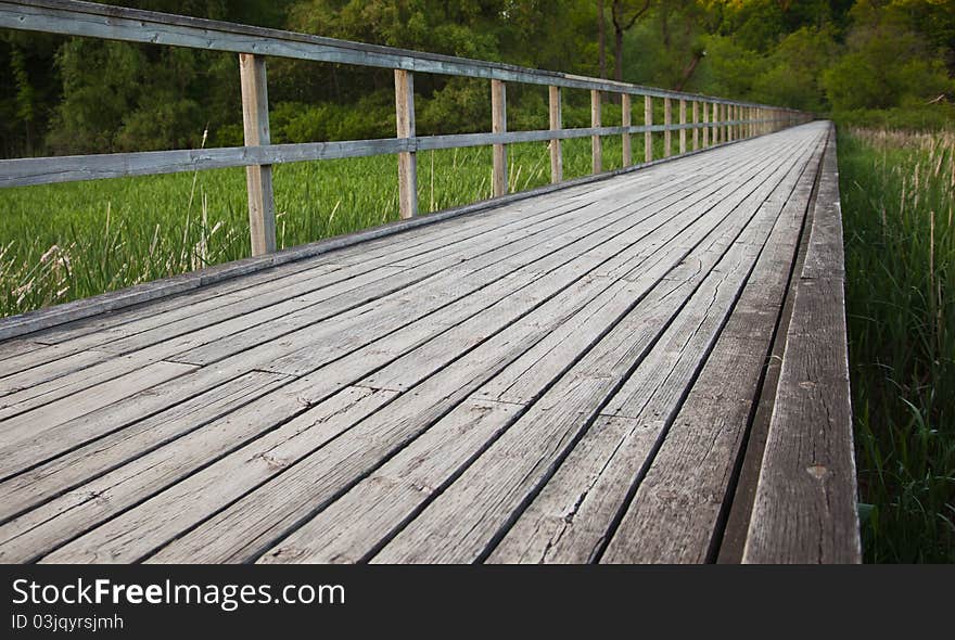 Wooden pathway running through marsh, wooden railing. Wooden pathway running through marsh, wooden railing.