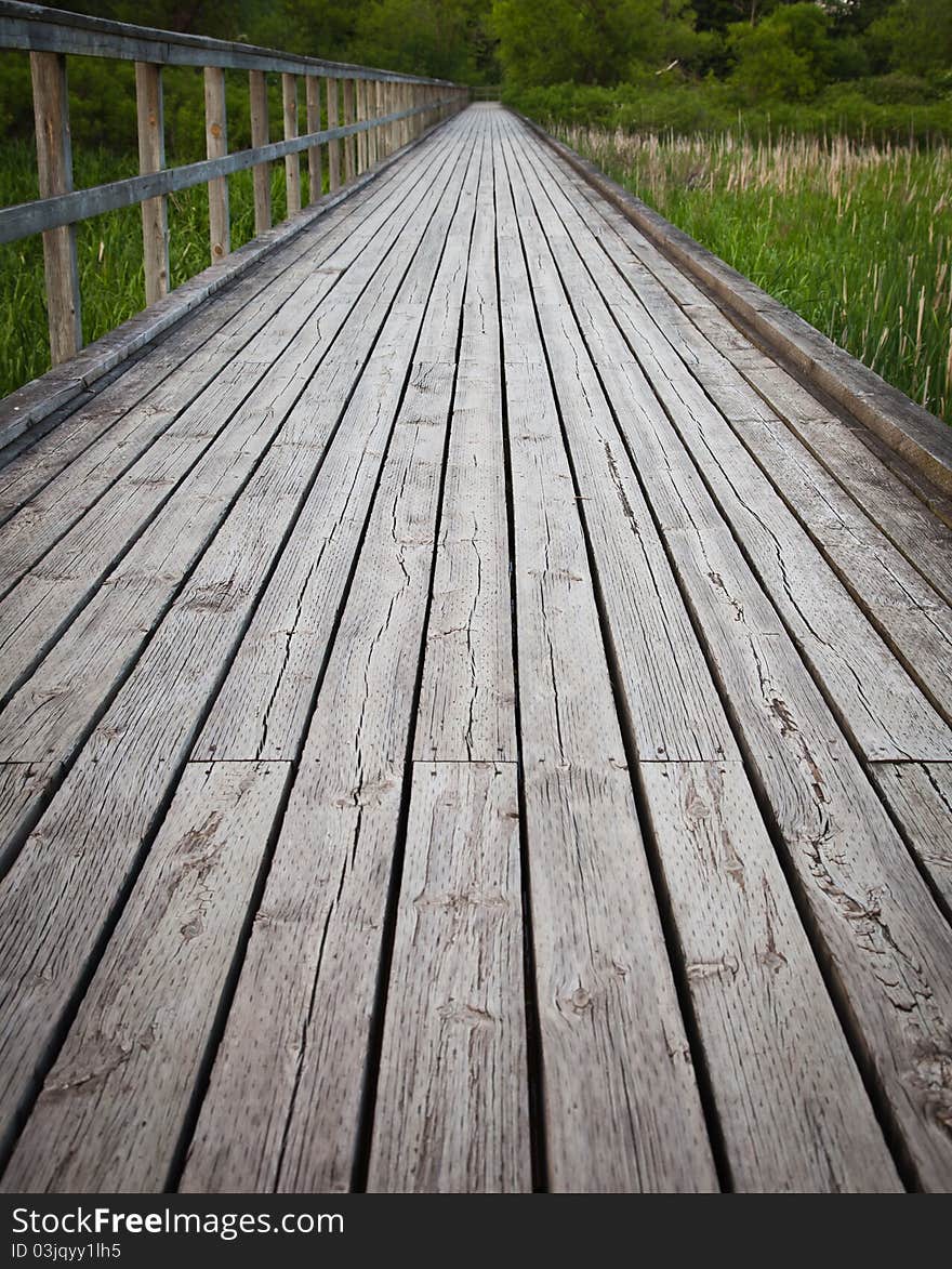 Wooden pathway running through marsh, wooden railing. Wooden pathway running through marsh, wooden railing.