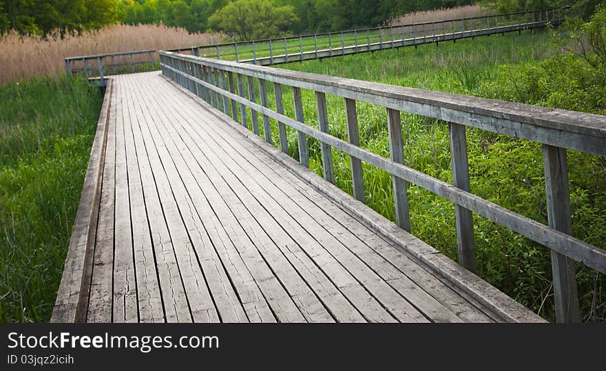 Wooden Pathway Through Marsh