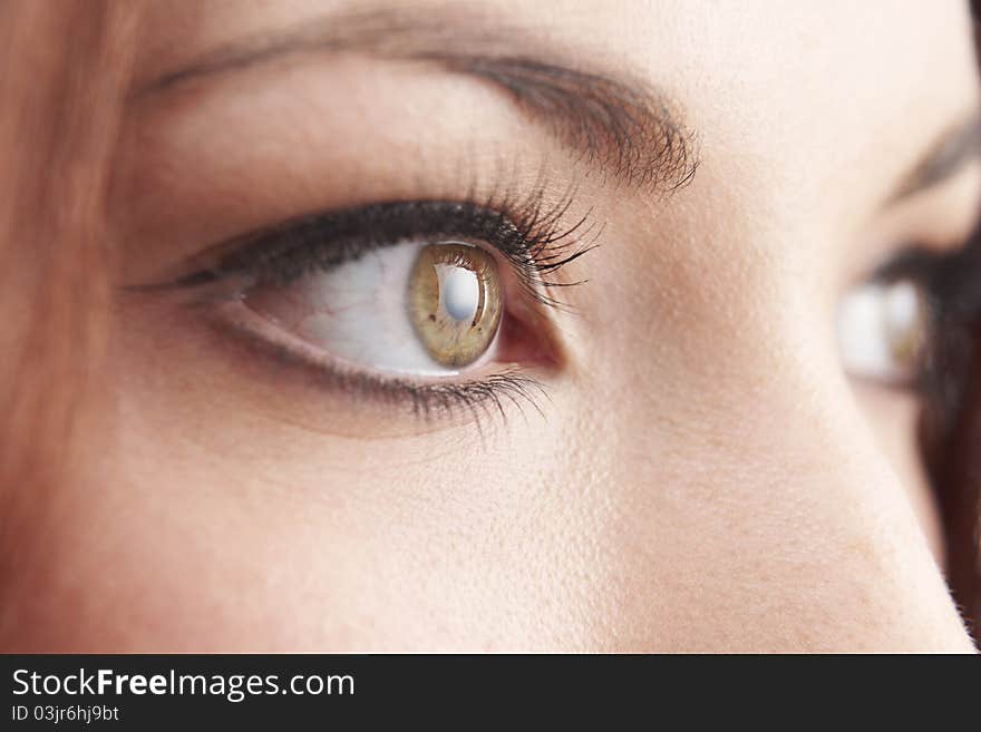 Close up of womans brown eye with false eye lashes. Close up of womans brown eye with false eye lashes