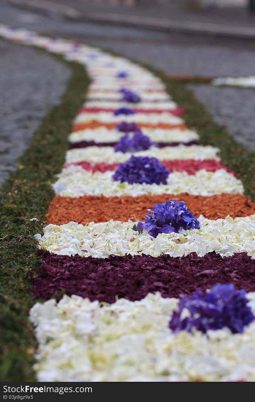 Rug made of flowers for a catholic procession. Rug made of flowers for a catholic procession