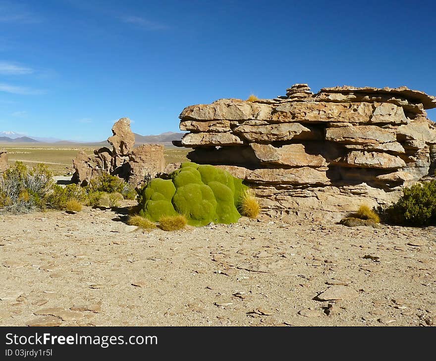 Valle De Rocas, Altiplano, Bolivia